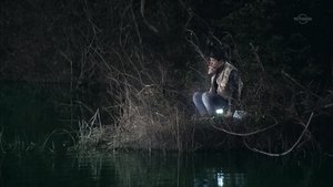 Poster for Swamp