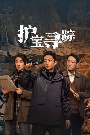 护宝寻踪 护宝寻踪