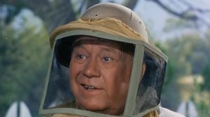 Poster for All That Buzzes Ain't Bees