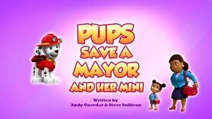 Poster for Pups Save a Mayor and Her Mini