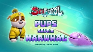 Poster for Sea Patrol: Pups Save a Narwhal