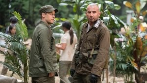 Poster for Welcome to the Jungle