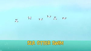 Poster for Sea Otter Swim
