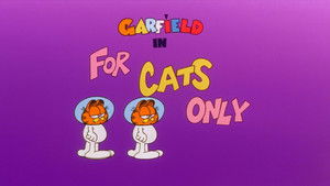 Poster for For Cats Only Poster for For Cats Only