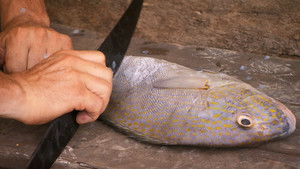 Poster for Episode 14