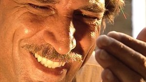 Poster for Chapter 203 Poster for Chapter 203