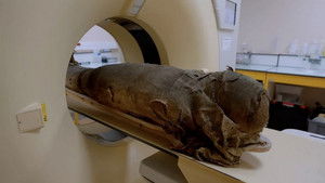 Poster for Episode 3