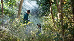 Poster for Episode 6 Poster for Episode 6