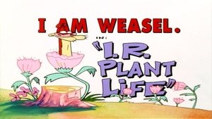 Poster for I.R. Plant Life