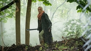 Poster for Crooked Falls