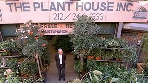 Poster for Flower Power Poster for Flower Power