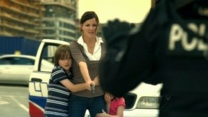 Poster for Custody