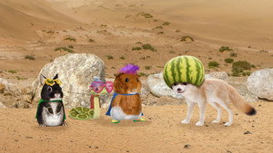 Poster for Save the Fennec Fox! / Save the Giant Tortoise! Poster for Save the Fennec Fox! / Save the Giant Tortoise!