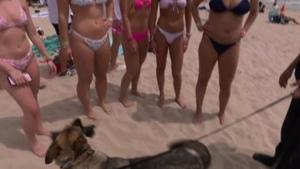 Poster for Spring Break: Bombed at the Beach