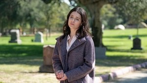 Poster for Blank Canvas