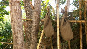 Poster for Episode 22