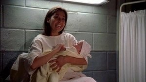 Poster for A Tangled Webb: Part II (4)