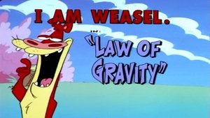 Poster for Law of Gravity