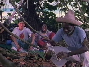 Poster for Turtles Rule