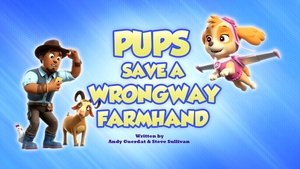 Poster for Pups Save a Wrongway Farmhand