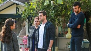 Poster for Episode 13