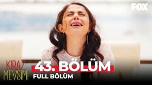 Poster for Episodio 43