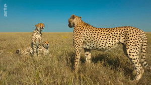 Poster for Episode 6