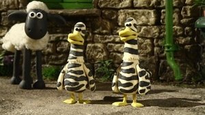 Poster for Zebra Ducks Of The Serengeti