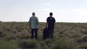 Poster for Bit by a Dead Bee