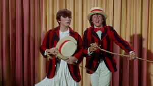 Poster for Too Many Girls (Davy and Fern)