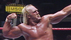 Poster for Madison Square Garden - 5/20/1985