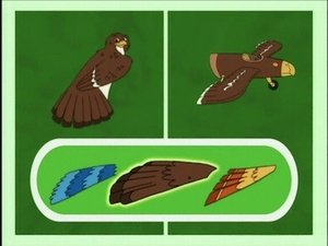 Poster for Jorge the Little Hawk Learns to Migrate