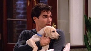 Poster for The Truth About Will and Dogs
