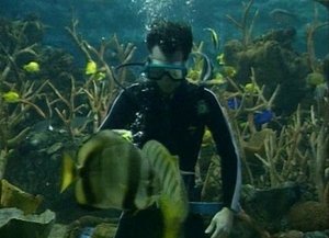 Poster for Fish