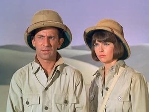 Poster for Appointment in Sahara