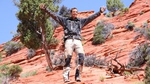 Poster for Global Survival Guide