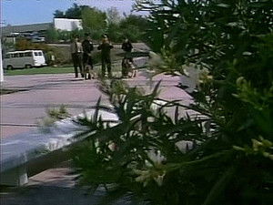 Poster for The Klae Dynasty Poster for The Klae Dynasty