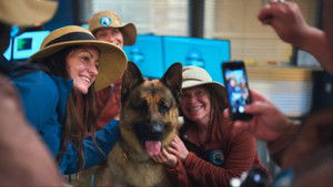 Poster for Trial by Fire Poster for Trial by Fire