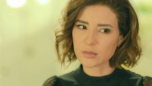 Poster for Episode 17