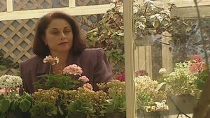 Poster for Necessity Is Creative Poster for Necessity Is Creative