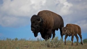 Poster for Last of the Giants