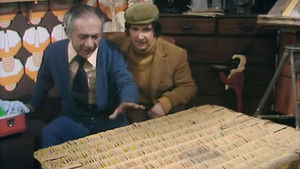 Poster for The Biggest Woodworm In The World