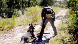 Poster for Into the Woods