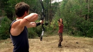 Poster for The Target