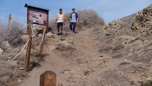 Poster for The Beeps