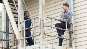 Poster for Family History