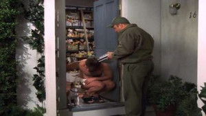 Poster for Multiple Plots