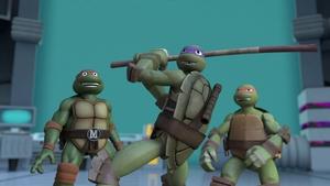 Poster for Trans-Dimensional Turtles