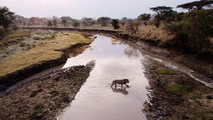 Poster for Purgatory | Katavi: Africa's Fallen Paradise