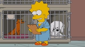 Poster for Lisa the Veterinarian